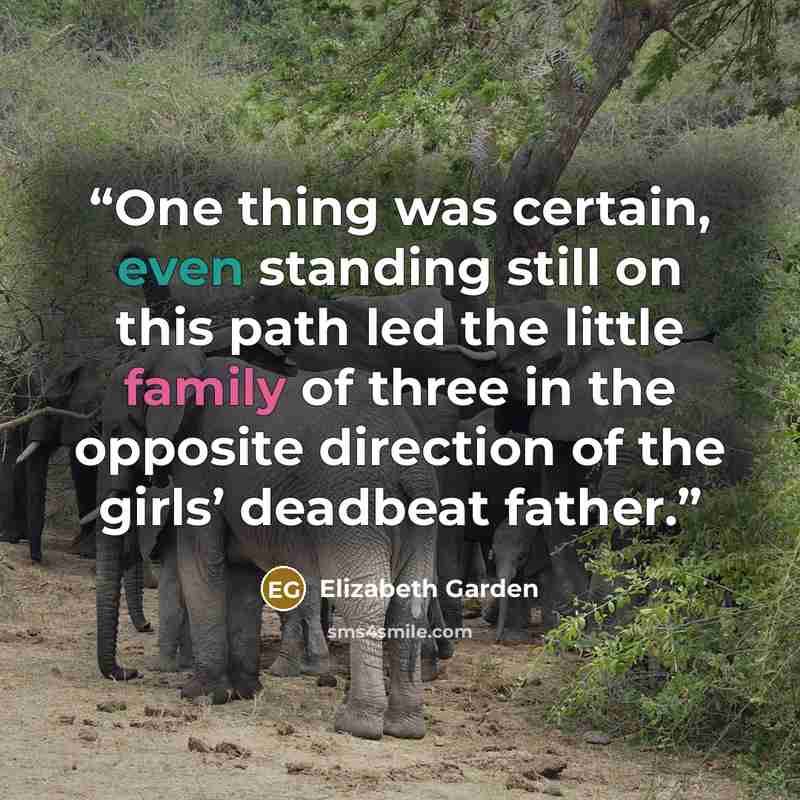 “One thing was certain, even standing still on this path led the little family of three in the opposite direction of the girls’ deadbeat father.” quote by Elizabeth Garden