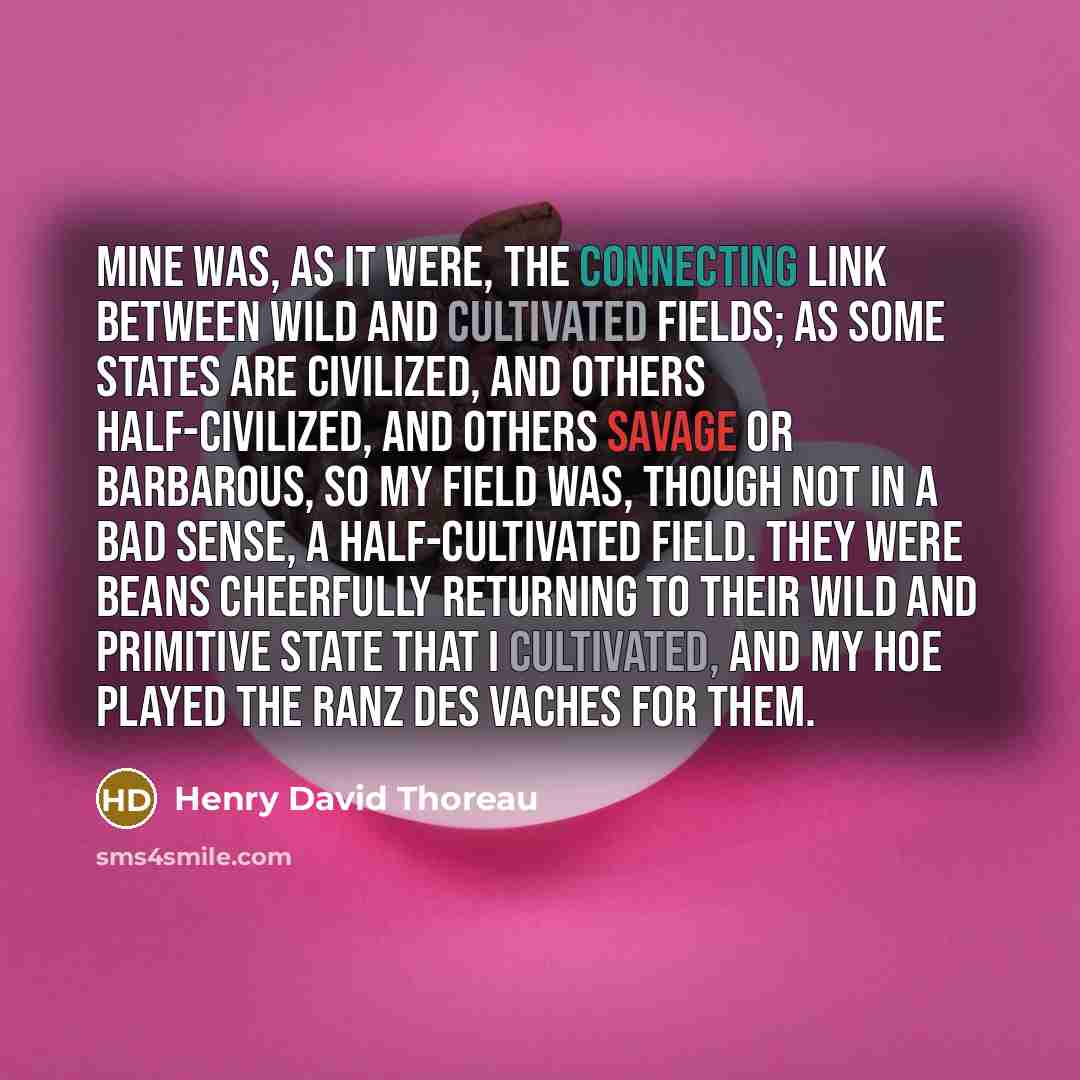 “Mine was, as it were, the connecting link between wild and cultivated fields; as some states are civilized, and others half-civilized, and others savage or barbarous, so my field was, though not in a bad sense, a half-cultivated field. They were beans cheerfully returning to their wild and…” quote by Henry David Thoreau