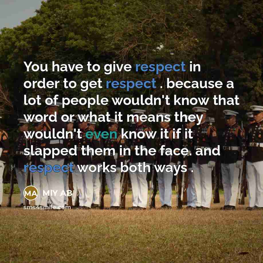 “You have to give respect in order to get respect . because a lot of people wouldn't know that word or what it means they wouldn't even know it if it slapped them in the face. and respect works both ways .” quote by MlY AB