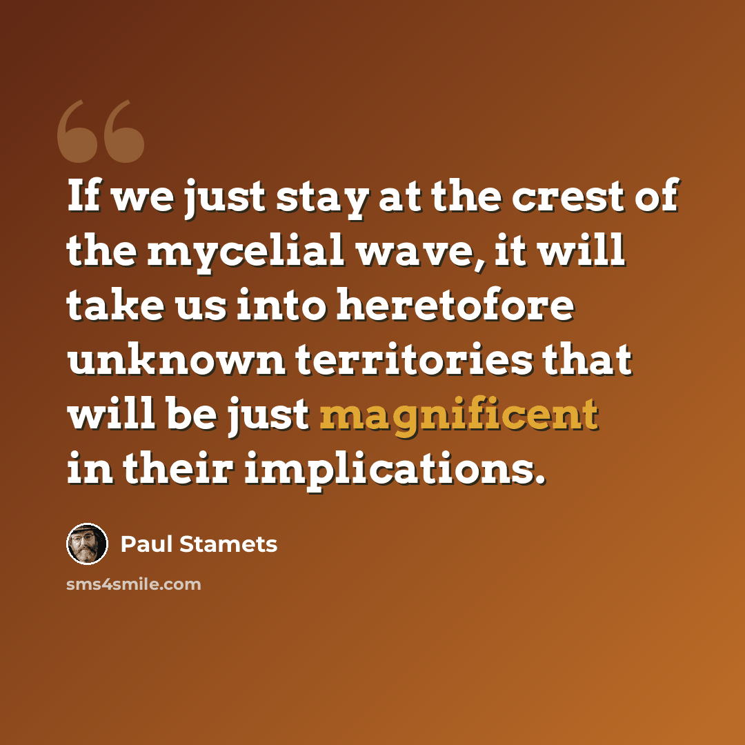 “If we just stay at the crest of the mycelial wave, it will take us into heretofore unknown territories that will be just magnificent in their implications.” quote by Paul Stamets