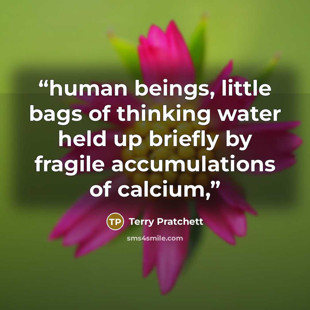 “human beings, little bags of thinking water held up briefly by fragile accumulations of calcium,” quote by Terry Pratchett
