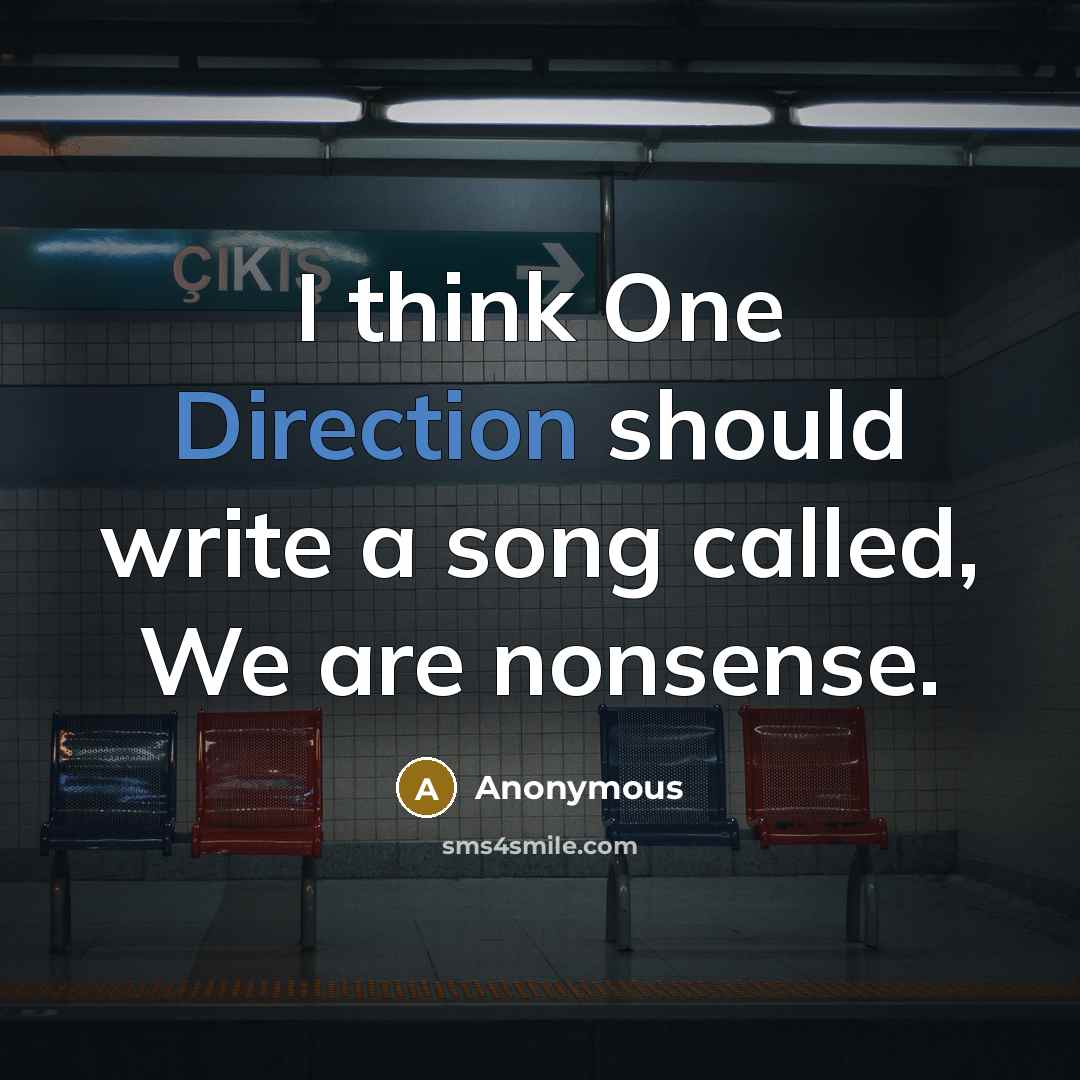 “I think One Direction should write a song called, We are nonsense.” quote by Anonymous