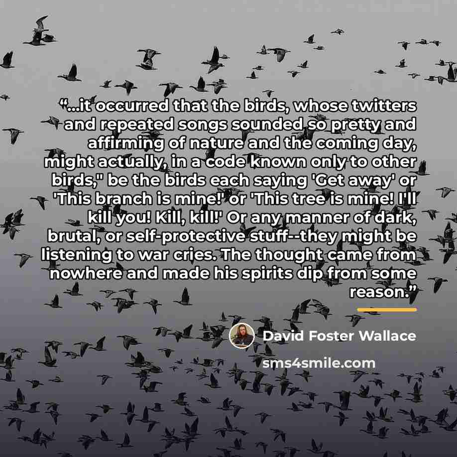 “...it occurred that the birds, whose twitters and repeated songs sounded so pretty and affirming of nature and the coming day, might actually, in a code known only to other birds," be the birds each saying 'Get away' or 'This branch is mine!' or 'This tree is mine! I'll kill you! Kill, kill!' Or…” quote by David Foster Wallace