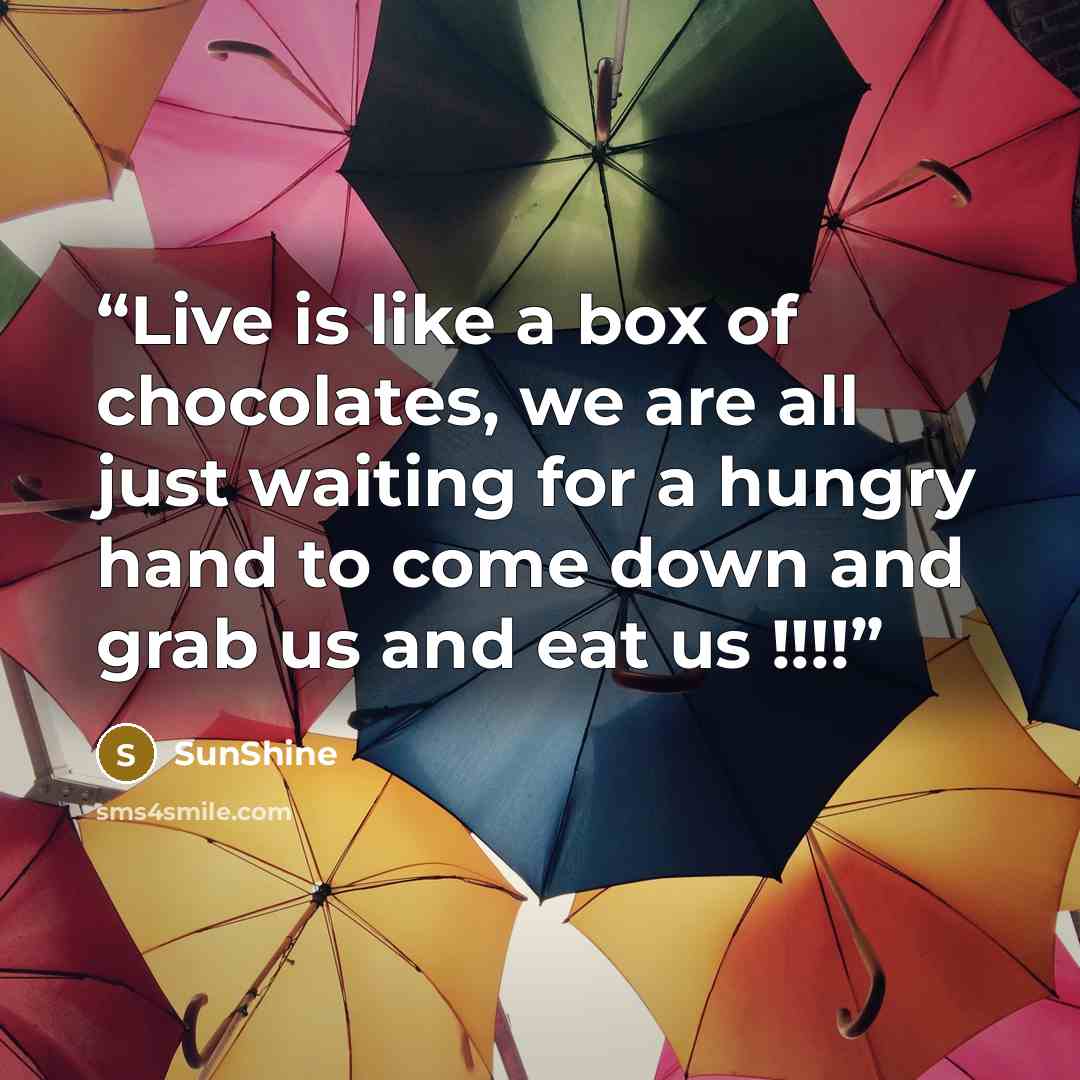 “Live is like a box of chocolates, we are all just waiting for a hungry hand to come down and grab us and eat us !!!!” quote by sunshine