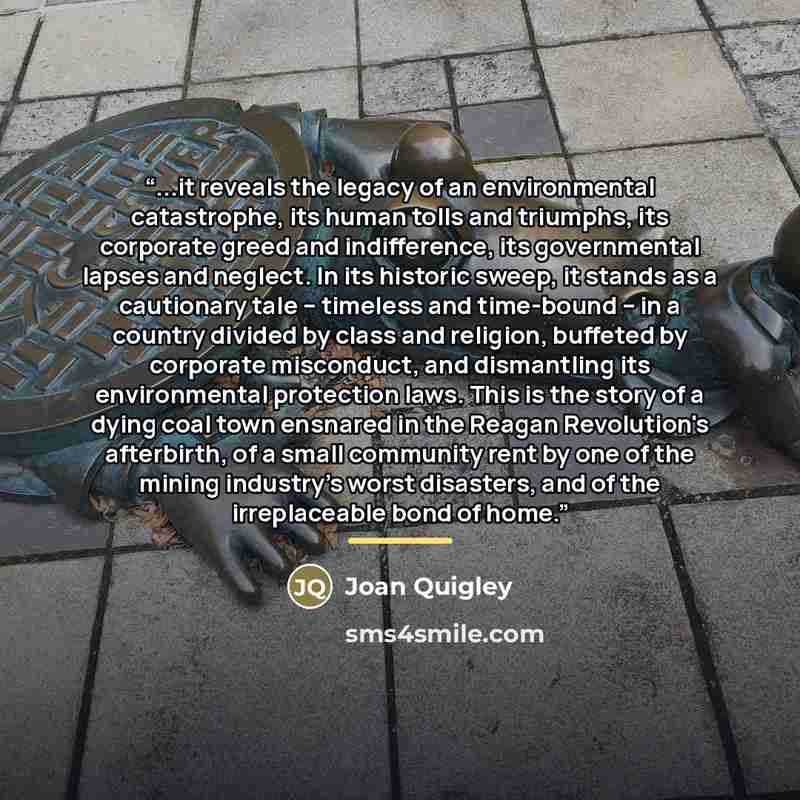 “...it reveals the legacy of an environmental catastrophe, its human tolls and triumphs, its corporate greed and indifference, its governmental lapses and neglect. In its historic sweep, it stands as a cautionary tale -- timeless and time-bound -- in a country divided by class and religion…” quote by Joan Quigley