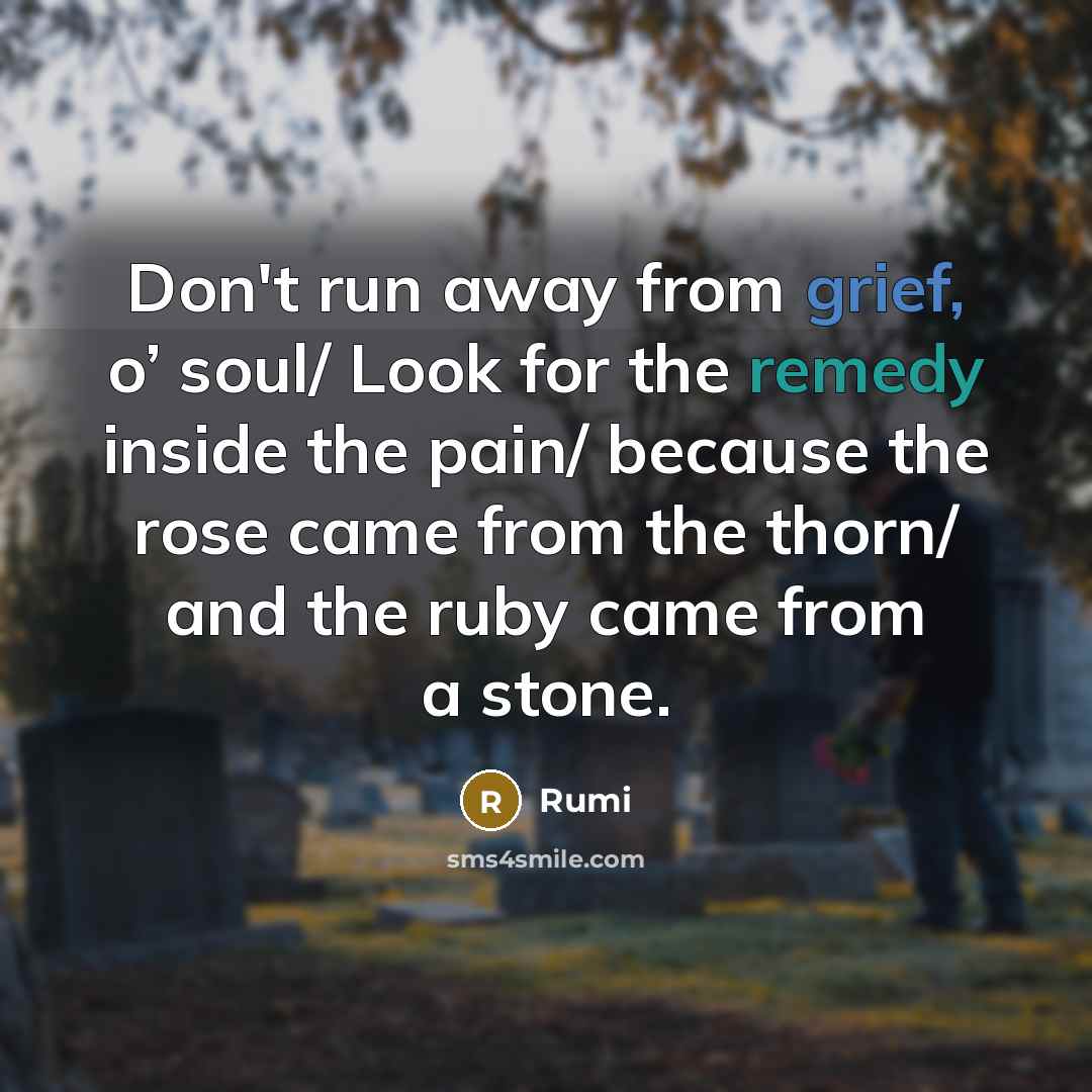 “Don't run away from grief, o’ soul/ Look for the remedy inside the pain/ because the rose came from the thorn/ and the ruby came from a stone.” quote by Rumi