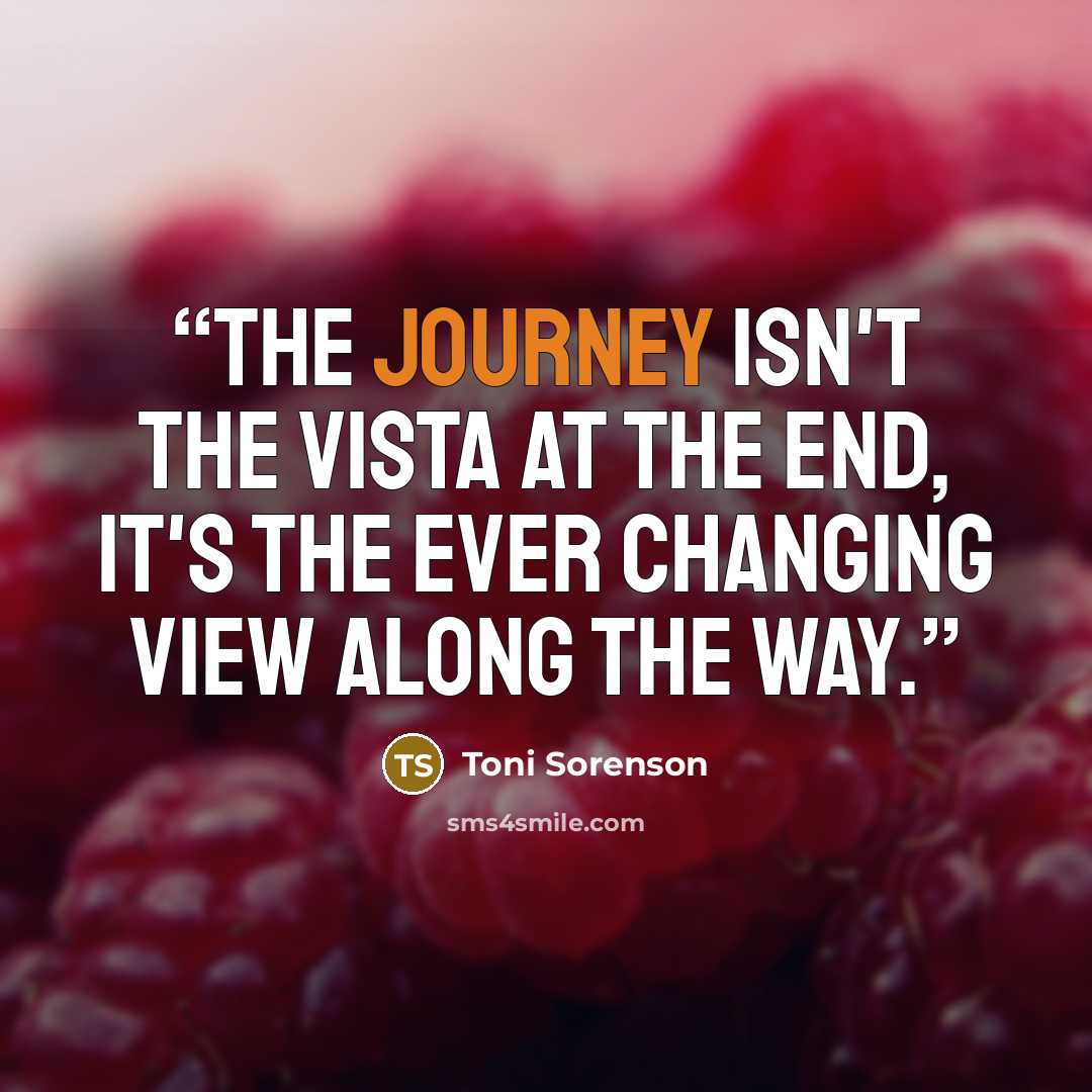 “The journey isn't the vista at the end, it's the ever changing view along the way.” quote by Toni Sorenson