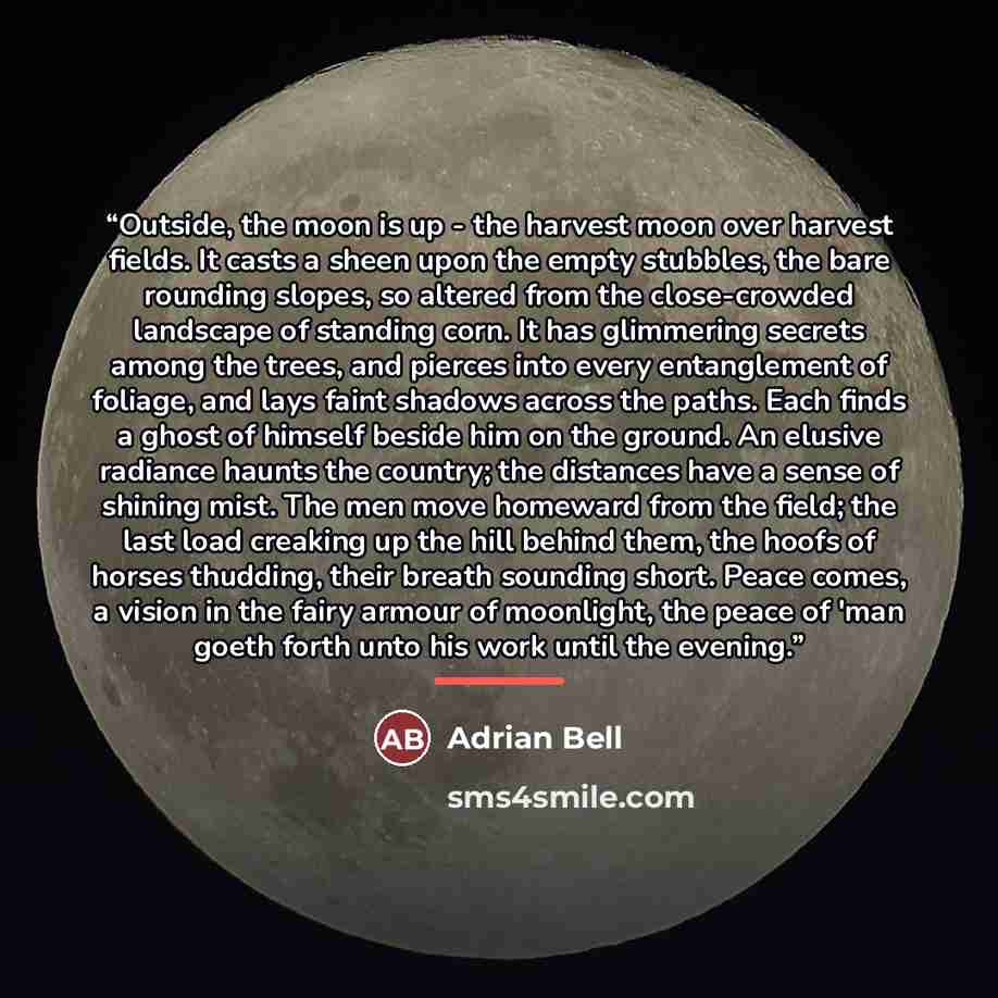 “Outside, the moon is up - the harvest moon over harvest fields. It casts a sheen upon the empty stubbles, the bare rounding slopes, so altered from the close-crowded landscape of standing corn. It has glimmering secrets among the trees, and pierces into every entanglement of foliage, and lays…” quote by Adrian Bell