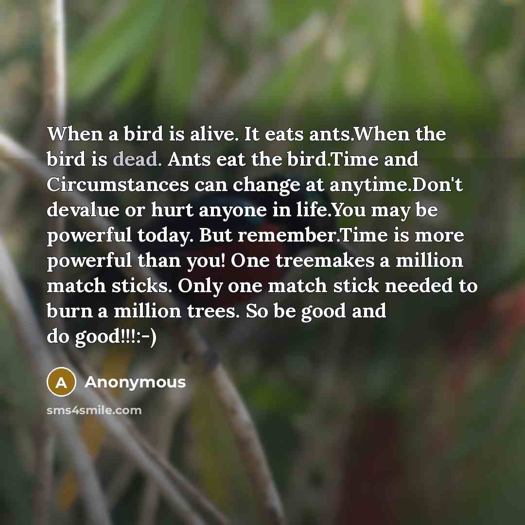 “When a bird is alive. It eats ants.When the bird is dead. Ants eat the bird.Time and Circumstances can change at anytime.Don't devalue or hurt anyone in life.You may be powerful today. But remember.Time is more powerful than you! One treemakes a million match sticks. Only one match stick needed to…” quote by Anonymous