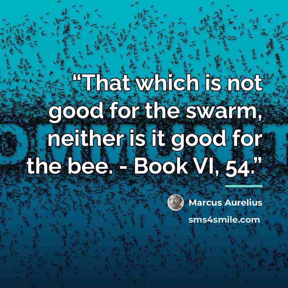 “That which is not good for the swarm, neither is it good for the bee. - Book VI, 54.” quote by Marcus Aurelius