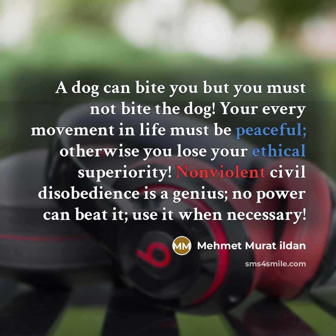 “A dog can bite you but you must not bite the dog! Your every movement in life must be peaceful; otherwise you lose your ethical superiority! Nonviolent civil disobedience is a genius; no power can beat it; use it when necessary!” quote by Mehmet Murat Ildan