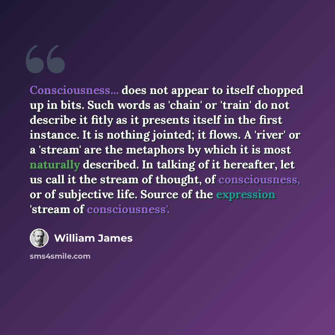 “Consciousness... does not appear to itself chopped up in bits. Such words as 'chain' or 'train' do not describe it fitly as it presents itself in the first instance. It is nothing jointed; it flows. A 'river' or a 'stream' are the metaphors by which it is most naturally described. In talking of it…” quote by William James