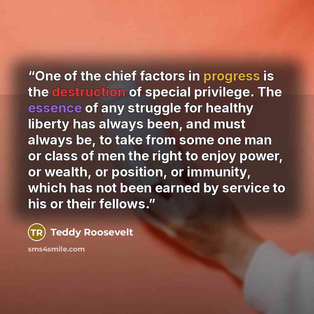 “One of the chief factors in progress is the destruction of special privilege. The essence of any struggle for healthy liberty has always been, and must always be, to take from some one man or class of men the right to enjoy power, or wealth, or position, or immunity, which has not been earned by…” quote by Teddy Roosevelt