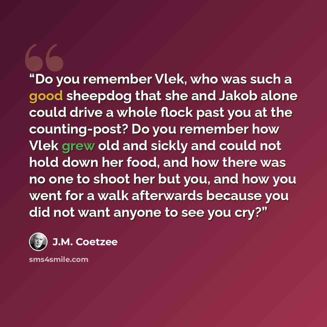 “Do you remember Vlek, who was such a good sheepdog that she and Jakob alone could drive a whole flock past you at the counting-post? Do you remember how Vlek grew old and sickly and could not hold down her food, and how there was no one to shoot her but you, and how you went for a walk afterwards…” quote by J.M. Coetzee