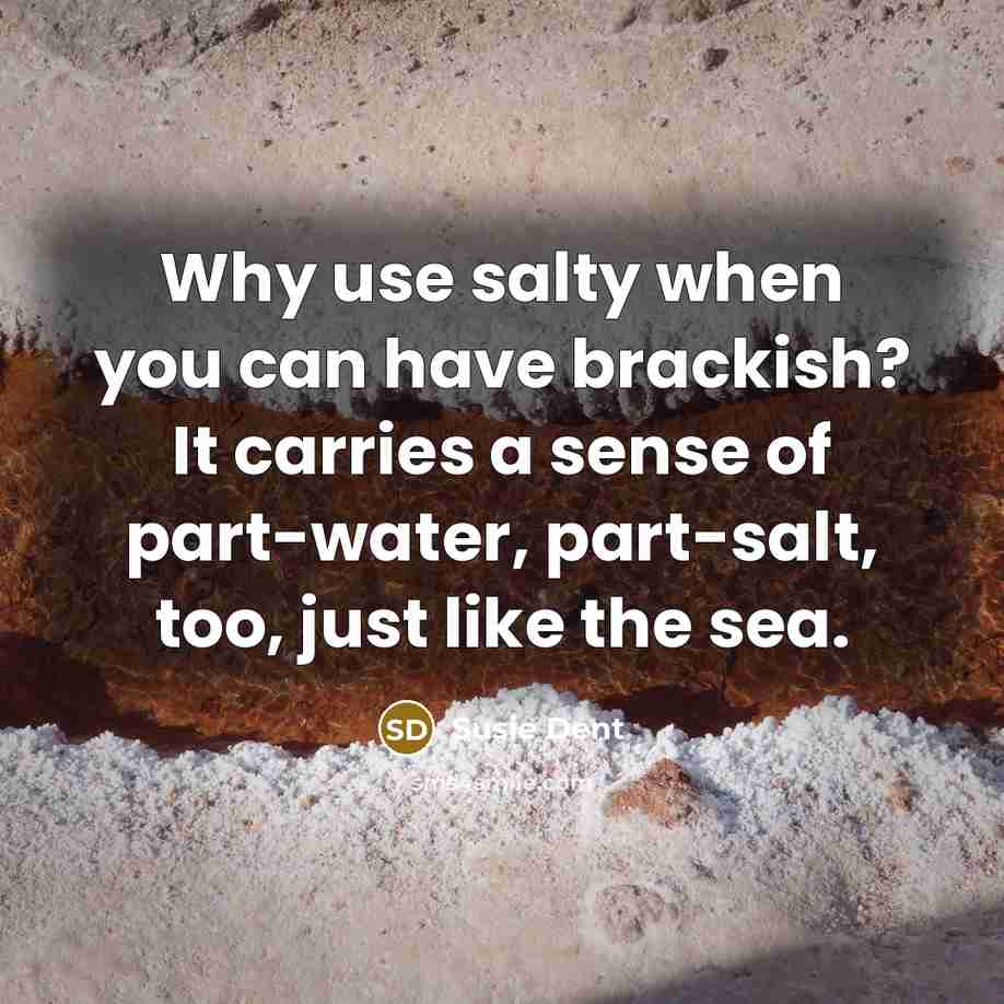 “Why use salty when you can have brackish? It carries a sense of part-water, part-salt, too, just like the sea.” quote by Susie Dent