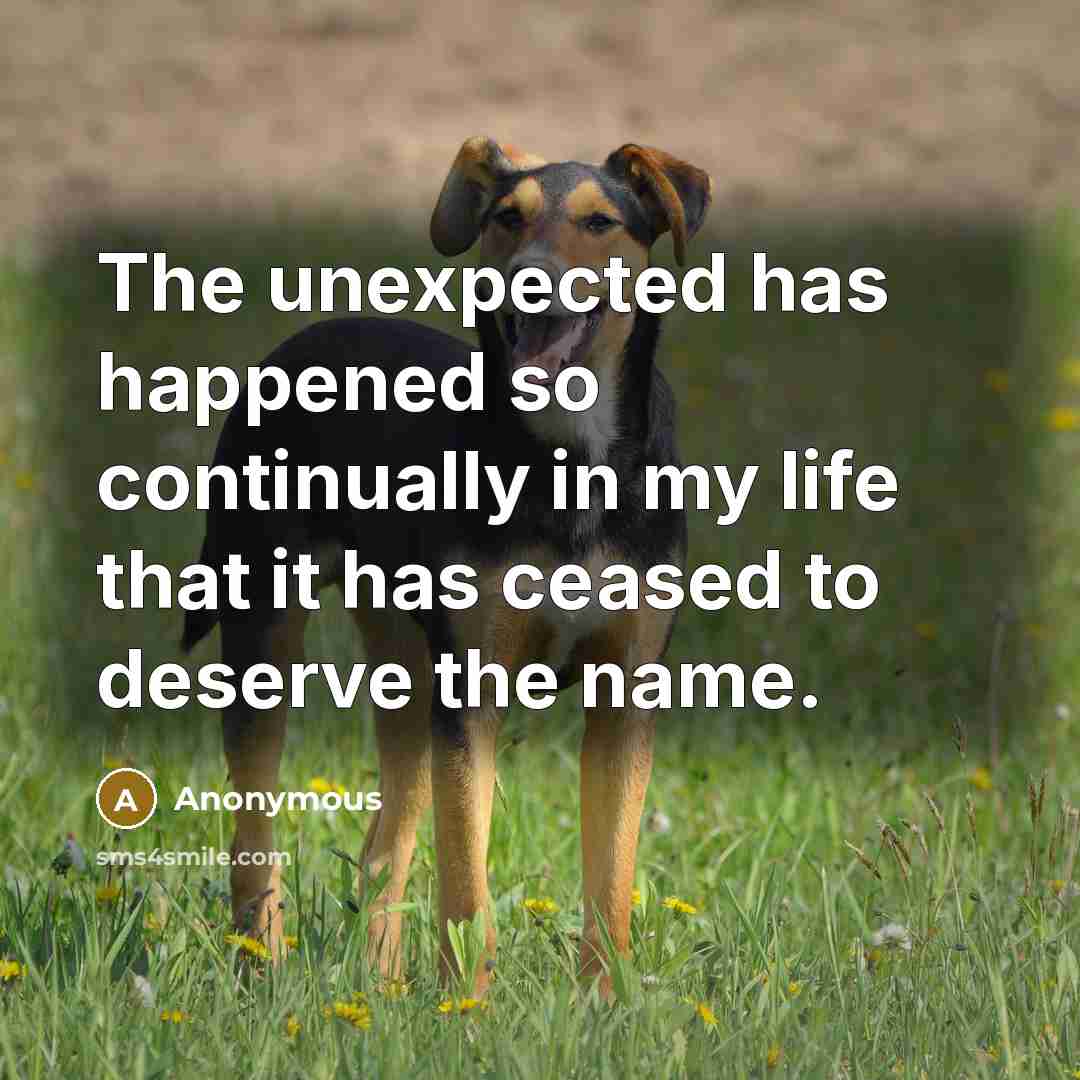 “The unexpected has happened so continually in my life that it has ceased to deserve the name.” quote by Anonymous