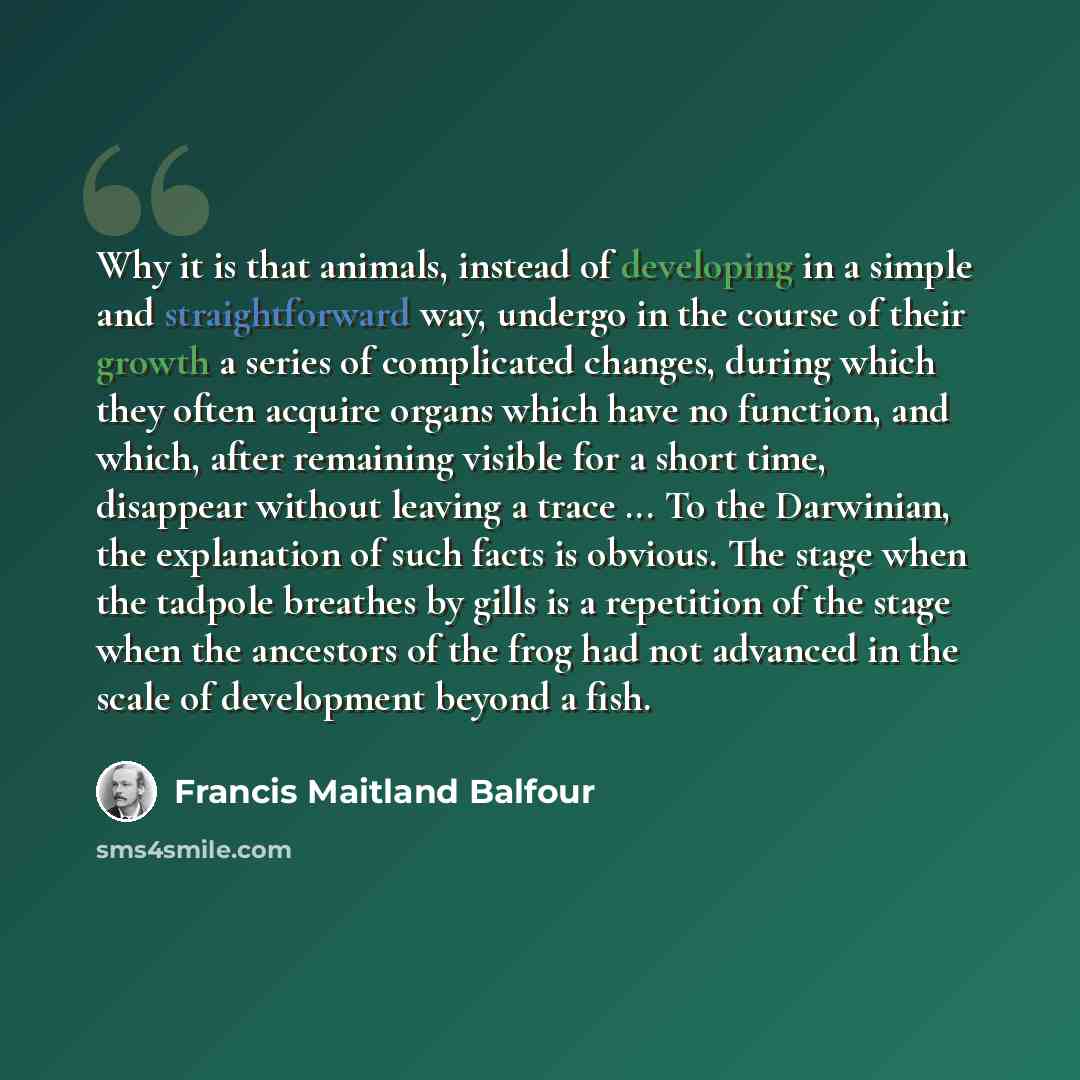 “Why it is that animals, instead of developing in a simple and straightforward way, undergo in the course of their growth a series of complicated changes, during which they often acquire organs which have no function, and which, after remaining visible for a short time, disappear without leaving a…” quote by Francis Maitland Balfour