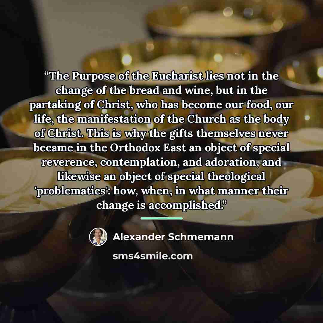 “The Purpose of the Eucharist lies not in the change of the bread and wine, but in the partaking of Christ, who has become our food, our life, the manifestation of the Church as the body of Christ. This is why the gifts themselves never became in the Orthodox East an object of special reverence…” quote by Alexander Schmemann