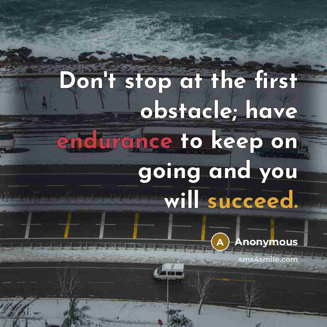 “Don't stop at the first obstacle; have endurance to keep on going and you will succeed.” quote by Anonymous
