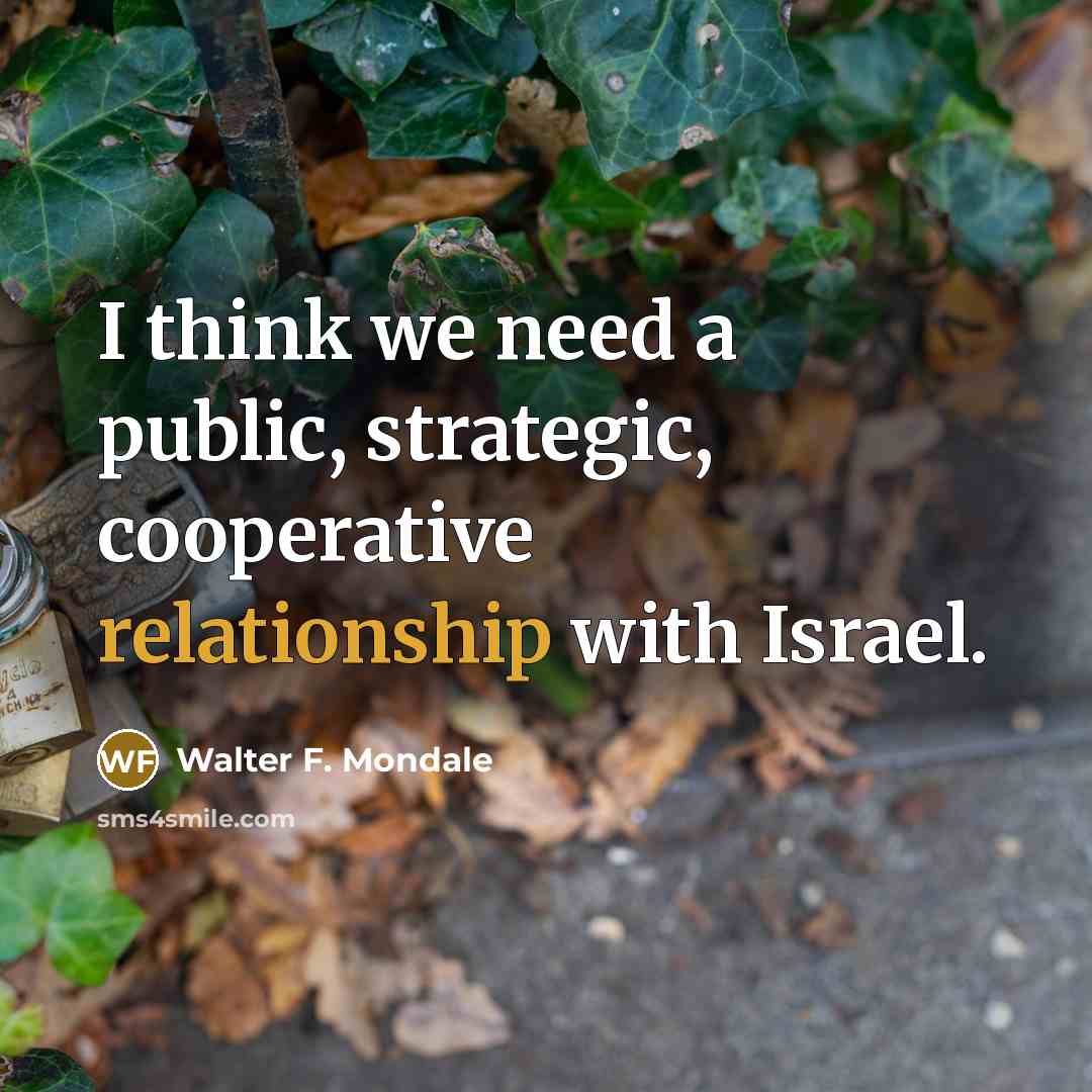 “I think we need a public, strategic, cooperative relationship with Israel.” quote by Walter F. Mondale
