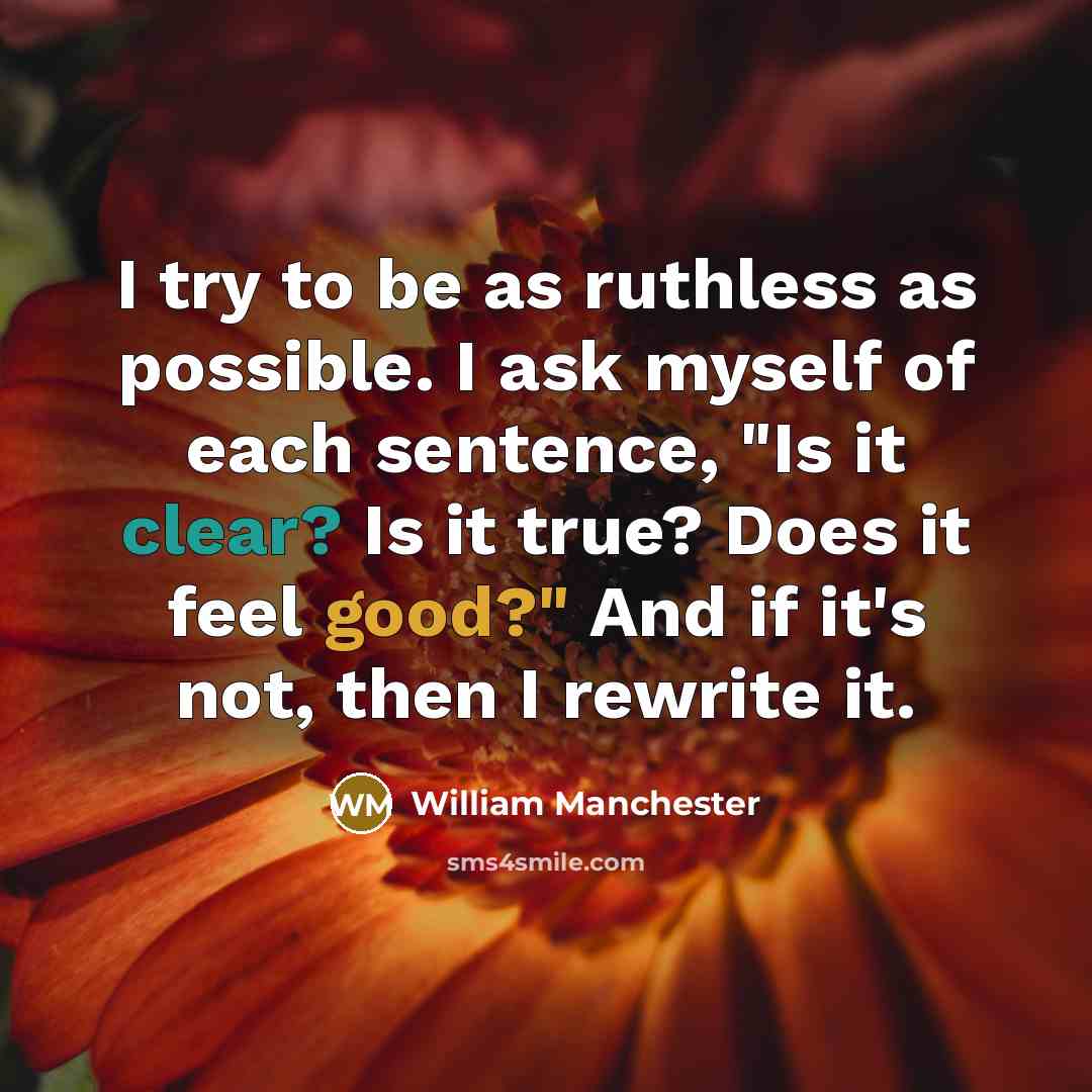 “I try to be as ruthless as possible. I ask myself of each sentence, "Is it clear? Is it true? Does it feel good?" And if it's not, then I rewrite it.” quote by William Manchester