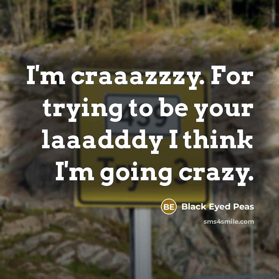 “I'm craaazzzy. For trying to be your laaadddy I think I'm going crazy.” quote by Black Eyed Peas