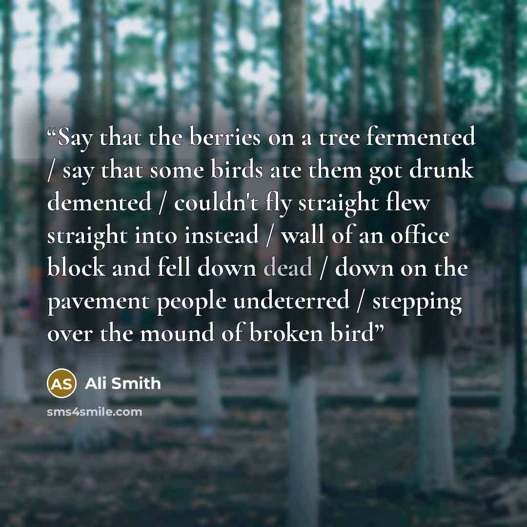 “Say that the berries on a tree fermented / say that some birds ate them got drunk demented / couldn't fly straight flew straight into instead / wall of an office block and fell down dead / down on the pavement people undeterred / stepping over the mound of broken bird” quote by Ali Smith
