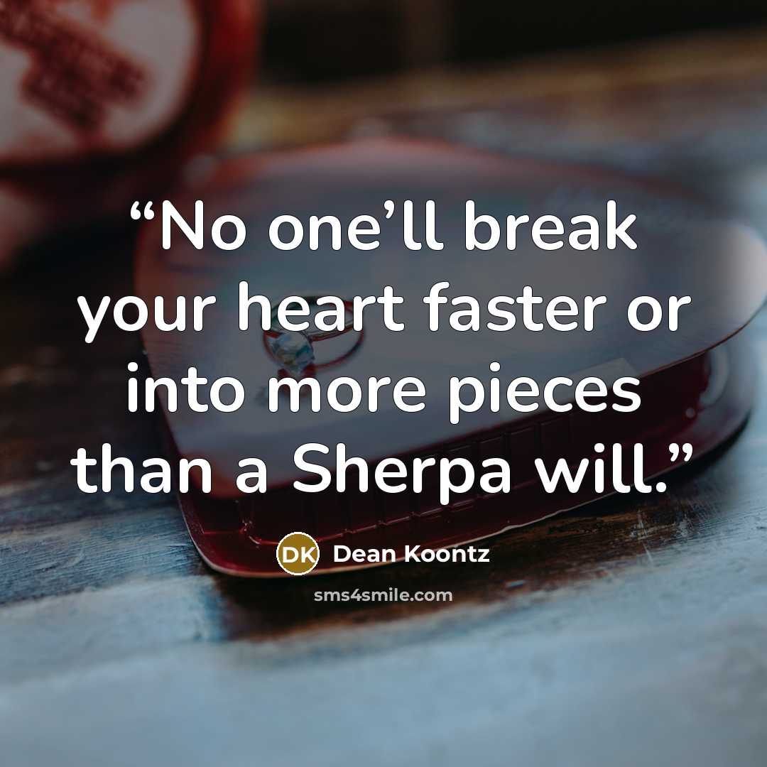 “No one’ll break your heart faster or into more pieces than a Sherpa will.” quote by Dean Koontz