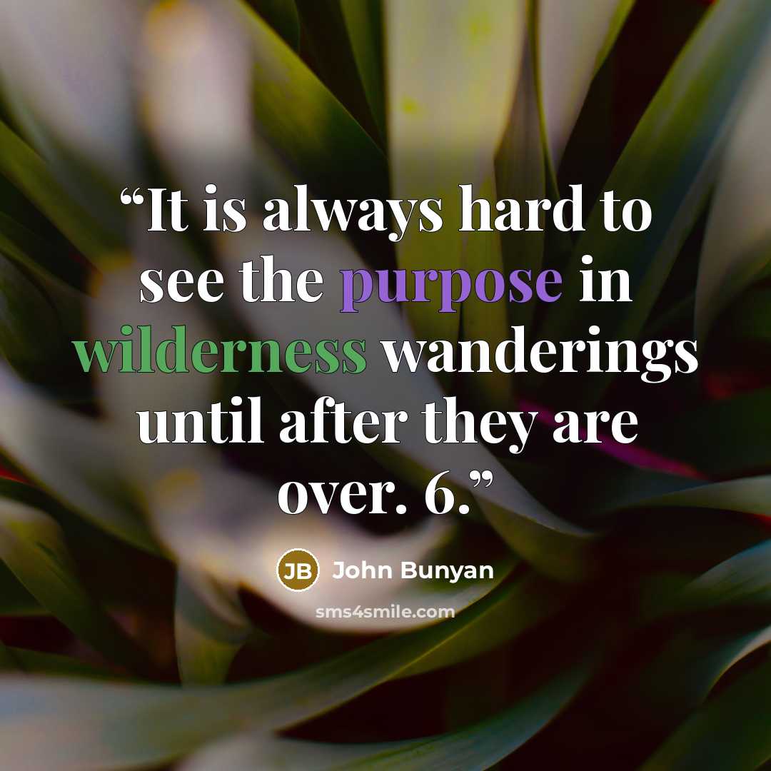 “It is always hard to see the purpose in wilderness wanderings until after they are over. 6.” quote by John Bunyan