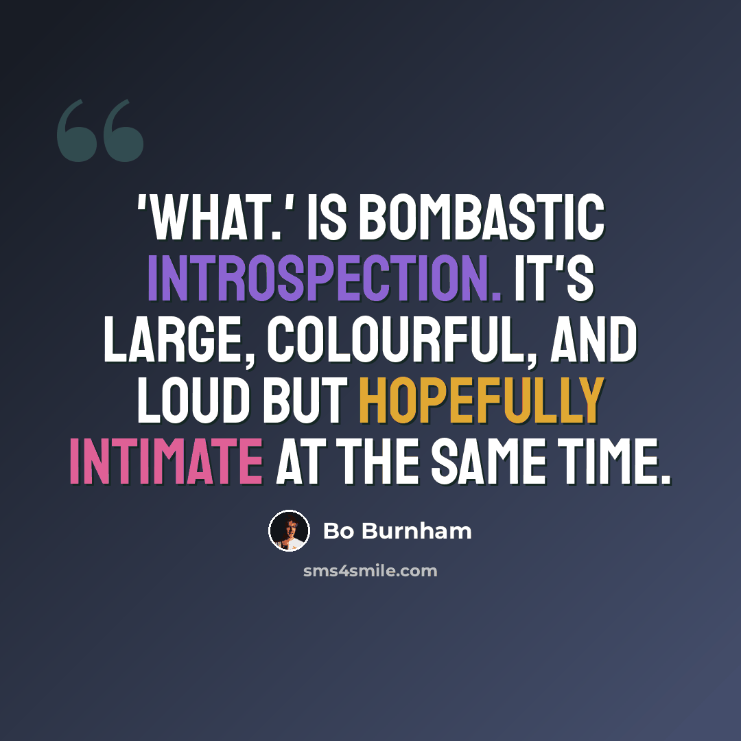 “'what.' is bombastic introspection. It's large, colourful, and loud but hopefully intimate at the same time.” quote by Bo Burnham