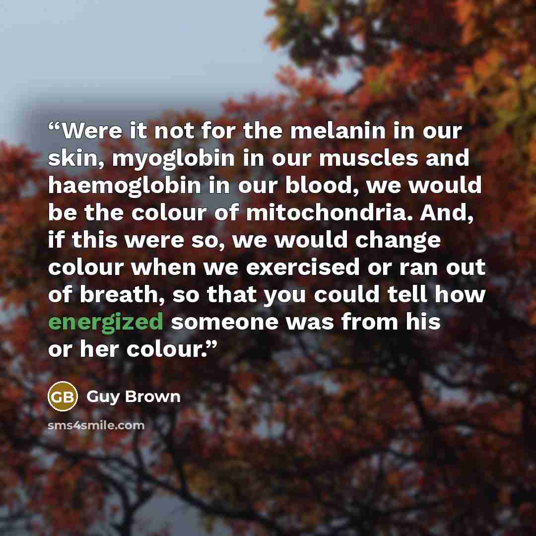 “Were it not for the melanin in our skin, myoglobin in our muscles and haemoglobin in our blood, we would be the colour of mitochondria. And, if this were so, we would change colour when we exercised or ran out of breath, so that you could tell how energized someone was from his or her colour.” quote by Guy Brown