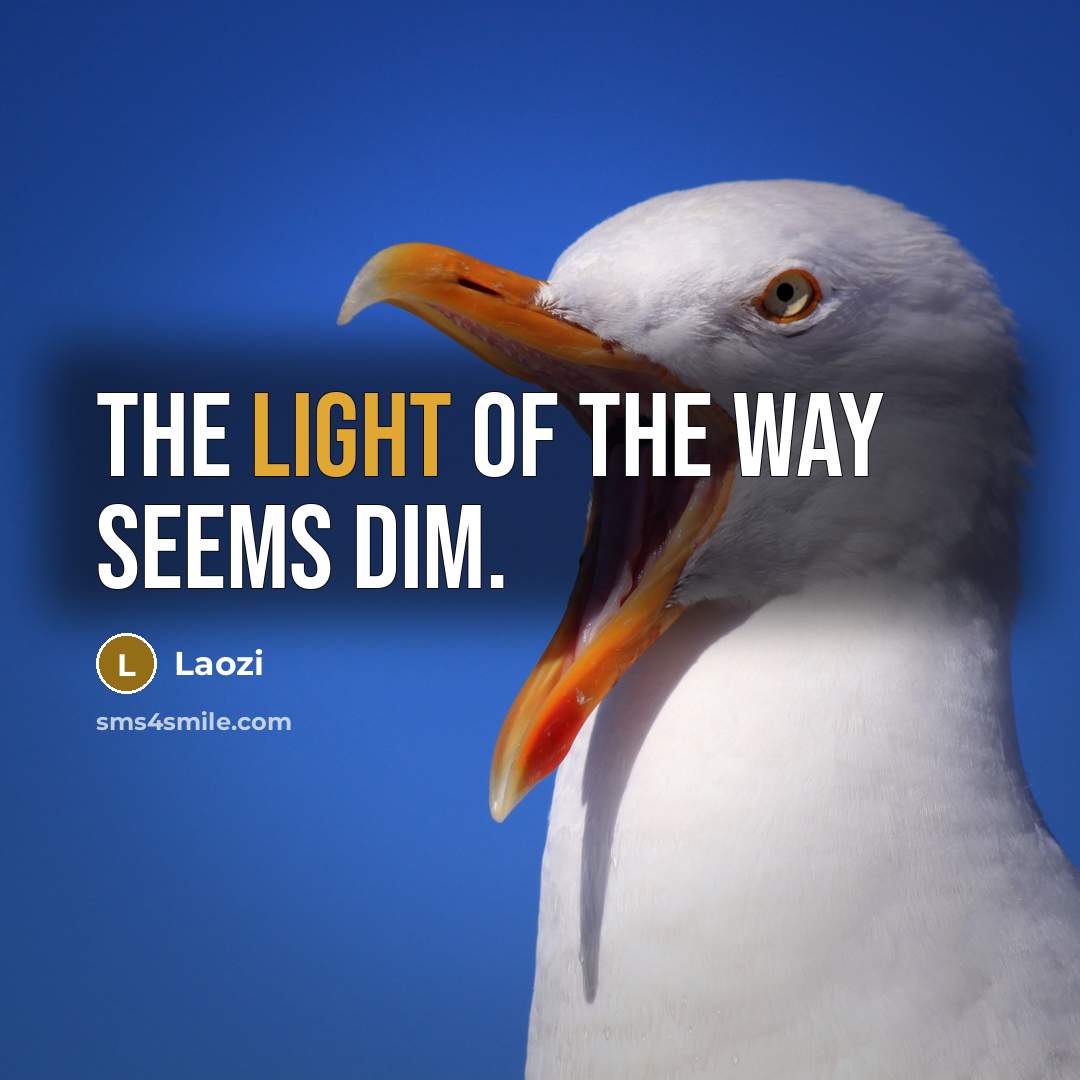 “The light of the Way seems dim.” quote by Laozi