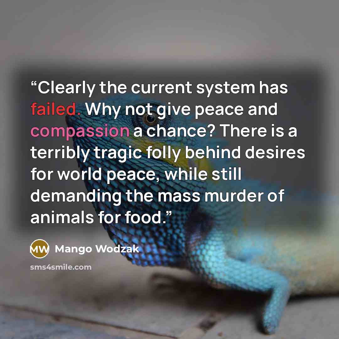 “Clearly the current system has failed. Why not give peace and compassion a chance? There is a terribly tragic folly behind desires for world peace, while still demanding the mass murder of animals for food.” quote by Mango Wodzak