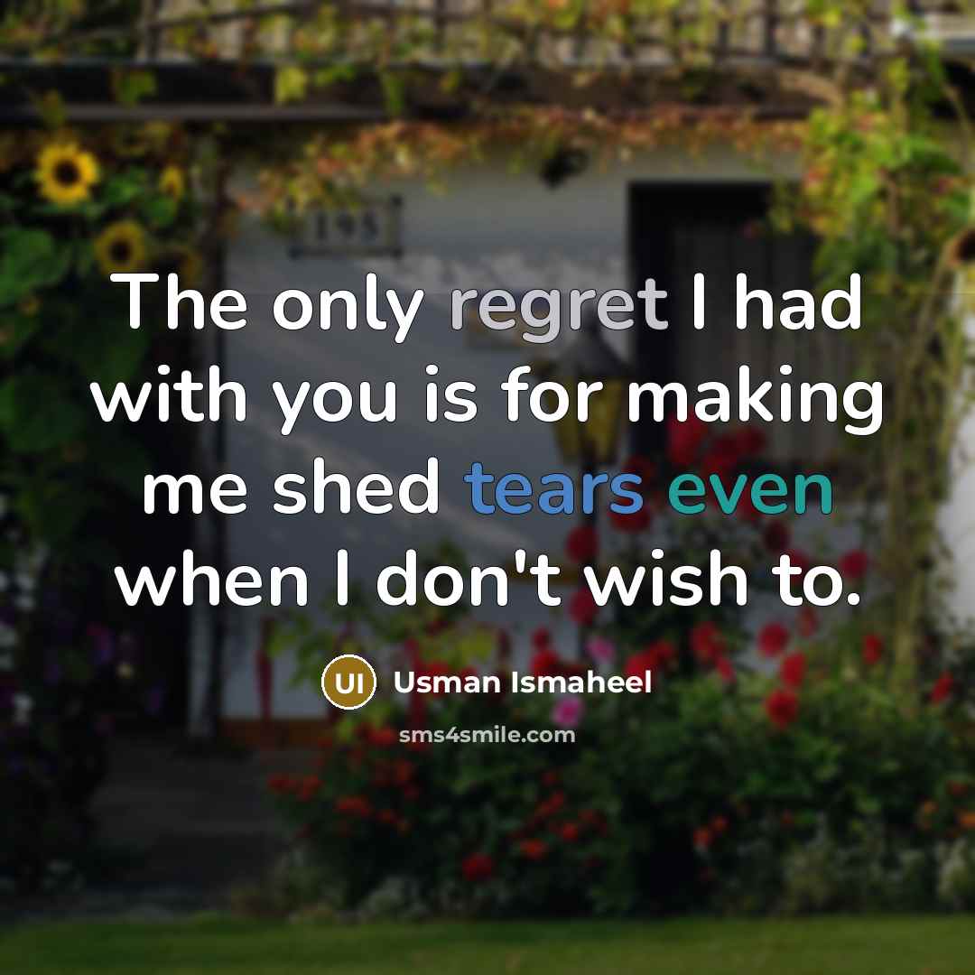 “The only regret I had with you is for making me shed tears even when I don't wish to.” quote by Usman Ismaheel