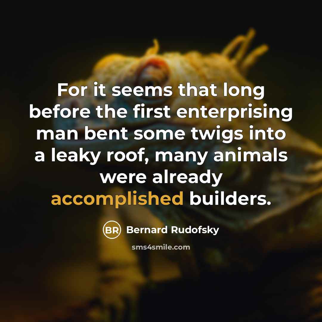“For it seems that long before the first enterprising man bent some twigs into a leaky roof, many animals were already accomplished builders.” quote by Bernard Rudofsky
