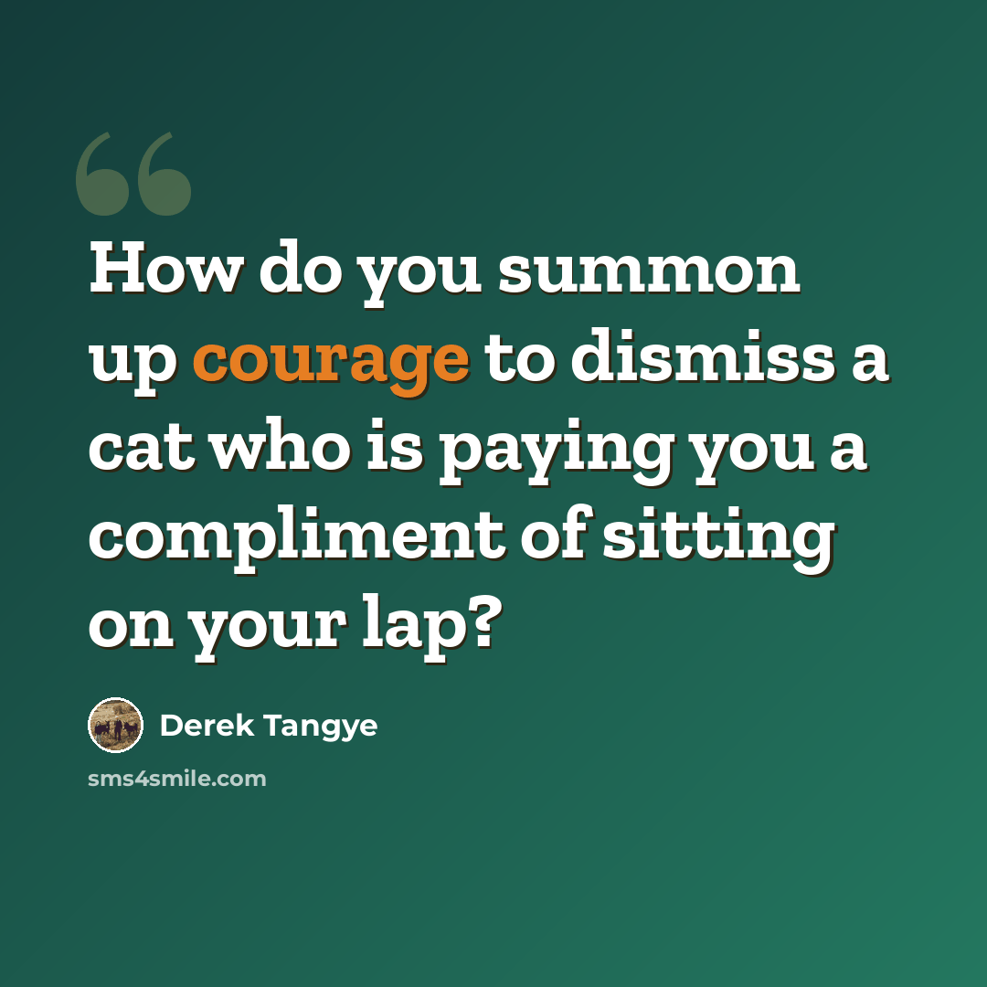 “How do you summon up courage to dismiss a cat who is paying you a compliment of sitting on your lap?” quote by Derek Tangye