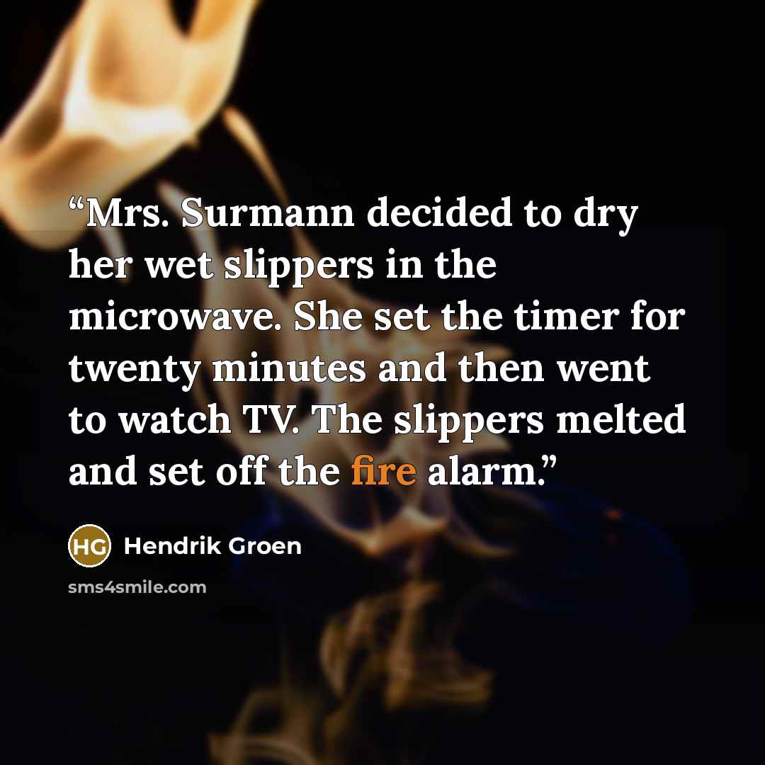 “Mrs. Surmann decided to dry her wet slippers in the microwave. She set the timer for twenty minutes and then went to watch TV. The slippers melted and set off the fire alarm.” quote by Hendrik Groen