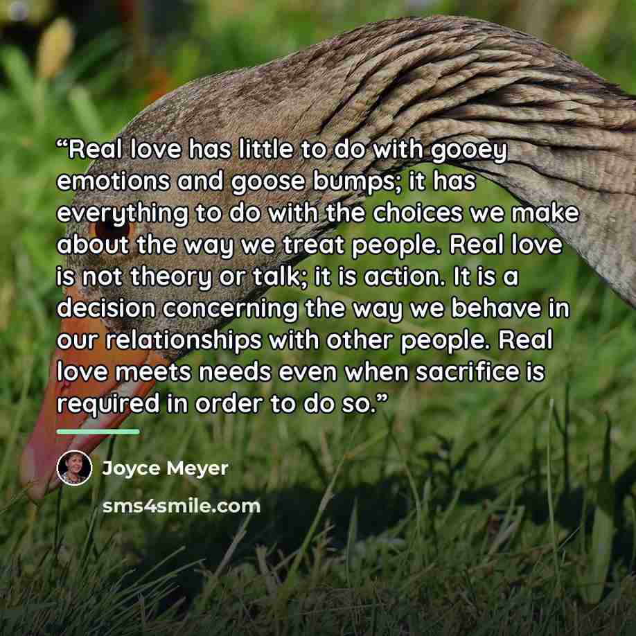 “Real love has little to do with gooey emotions and goose bumps; it has everything to do with the choices we make about the way we treat people. Real love is not theory or talk; it is action. It is a decision concerning the way we behave in our relationships with other people. Real love meets needs…” quote by Joyce Meyer