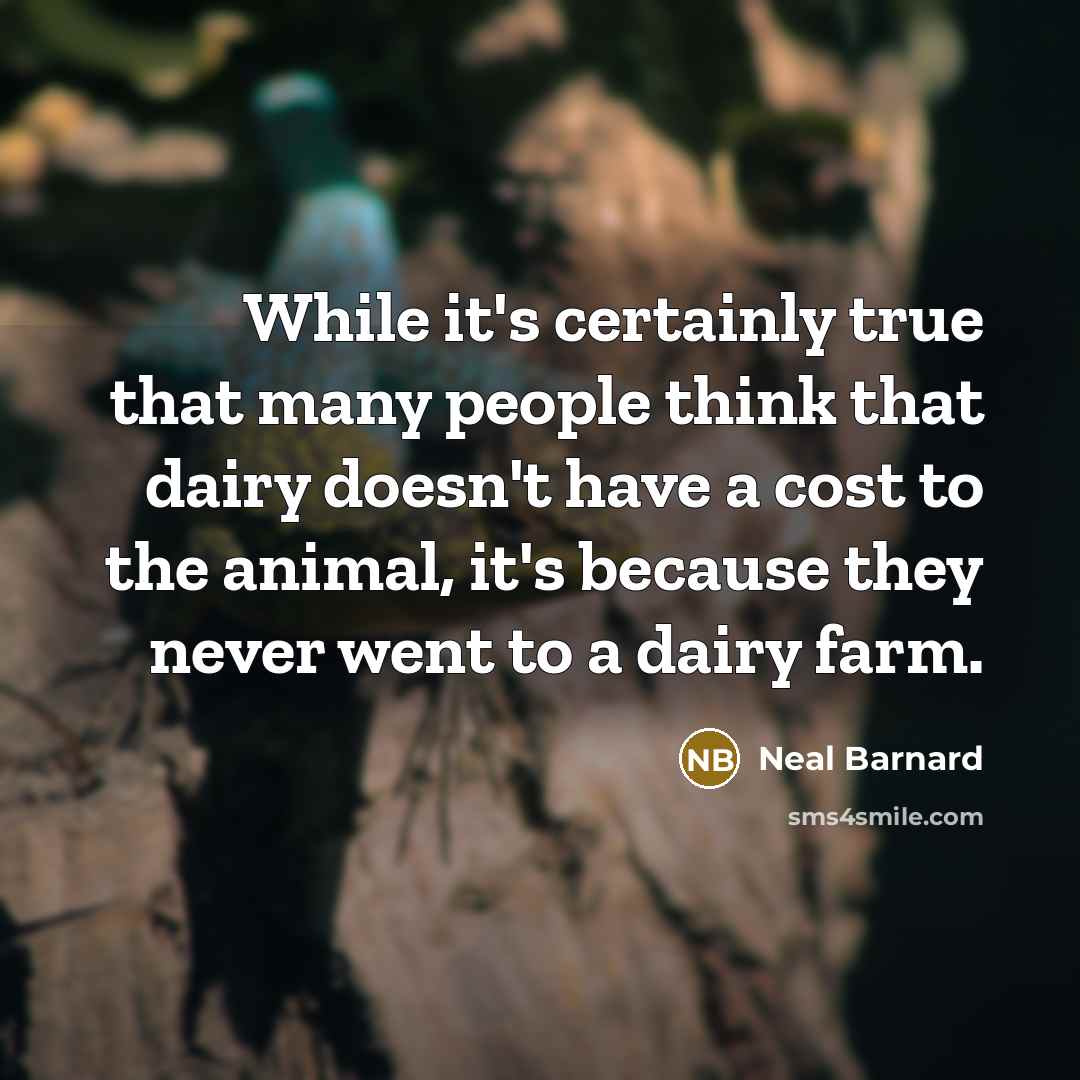 “While it's certainly true that many people think that dairy doesn't have a cost to the animal, it's because they never went to a dairy farm.” quote by Neal Barnard