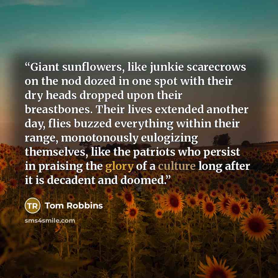 “Giant sunflowers, like junkie scarecrows on the nod dozed in one spot with their dry heads dropped upon their breastbones. Their lives extended another day, flies buzzed everything within their range, monotonously eulogizing themselves, like the patriots who persist in praising the glory of a…” quote by Tom Robbins