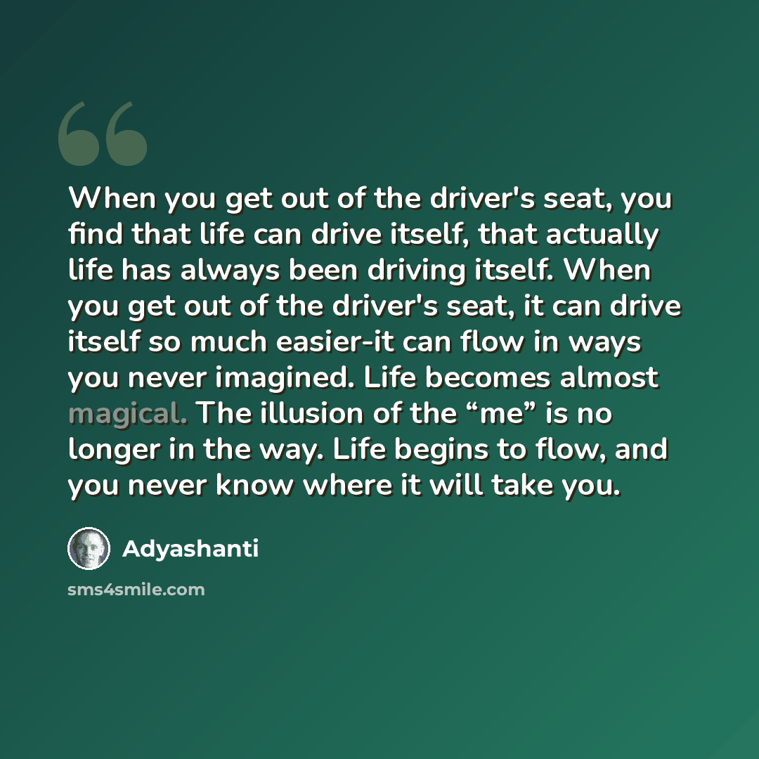 “When you get out of the driver's seat, you find that life can drive itself, that actually life has always been driving itself. When you get out of the driver's seat, it can drive itself so much easier-it can flow in ways you never imagined. Life becomes almost magical. The illusion of the “me” is…” quote by Adyashanti