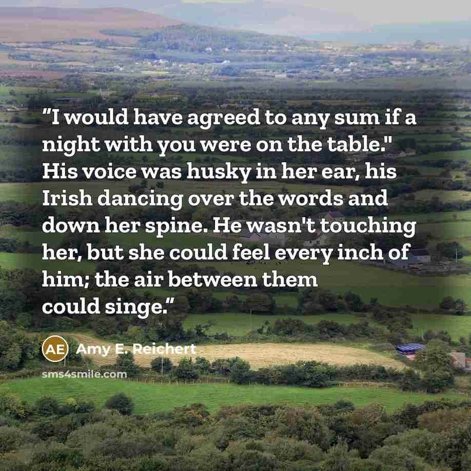 “I would have agreed to any sum if a night with you were on the table." His voice was husky in her ear, his Irish dancing over the words and down her spine. He wasn't touching her, but she could feel every inch of him; the air between them could singe.” quote by Amy E. Reichert