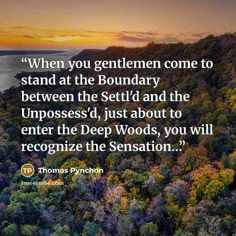 “When you gentlemen come to stand at the Boundary between the Settl'd and the Unpossess'd, just about to enter the Deep Woods, you will recognize the Sensation…” quote by Thomas Pynchon