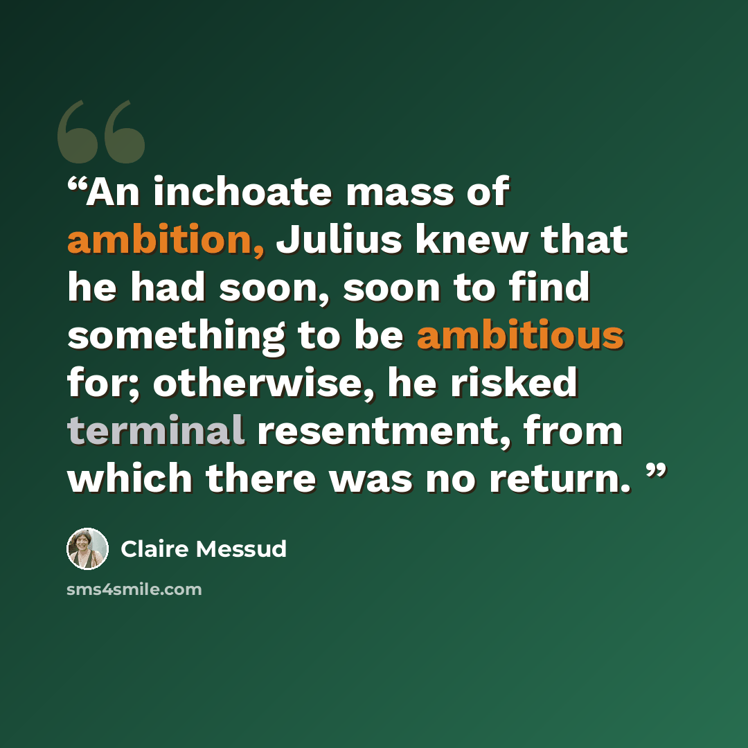 “An inchoate mass of ambition, Julius knew that he had soon, soon to find something to be ambitious for; otherwise, he risked terminal resentment, from which there was no return.” quote by Claire Messud