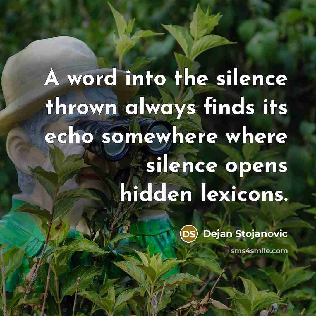 “A word into the silence thrown always finds its echo somewhere where silence opens hidden lexicons.” quote by Dejan Stojanovic