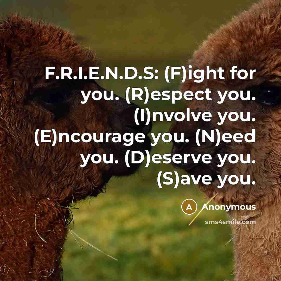 “F.R.I.E.N.D.S: (F)ight for you. (R)espect you. (I)nvolve you. (E)ncourage you. (N)eed you. (D)eserve you. (S)ave you.” quote by Anonymous