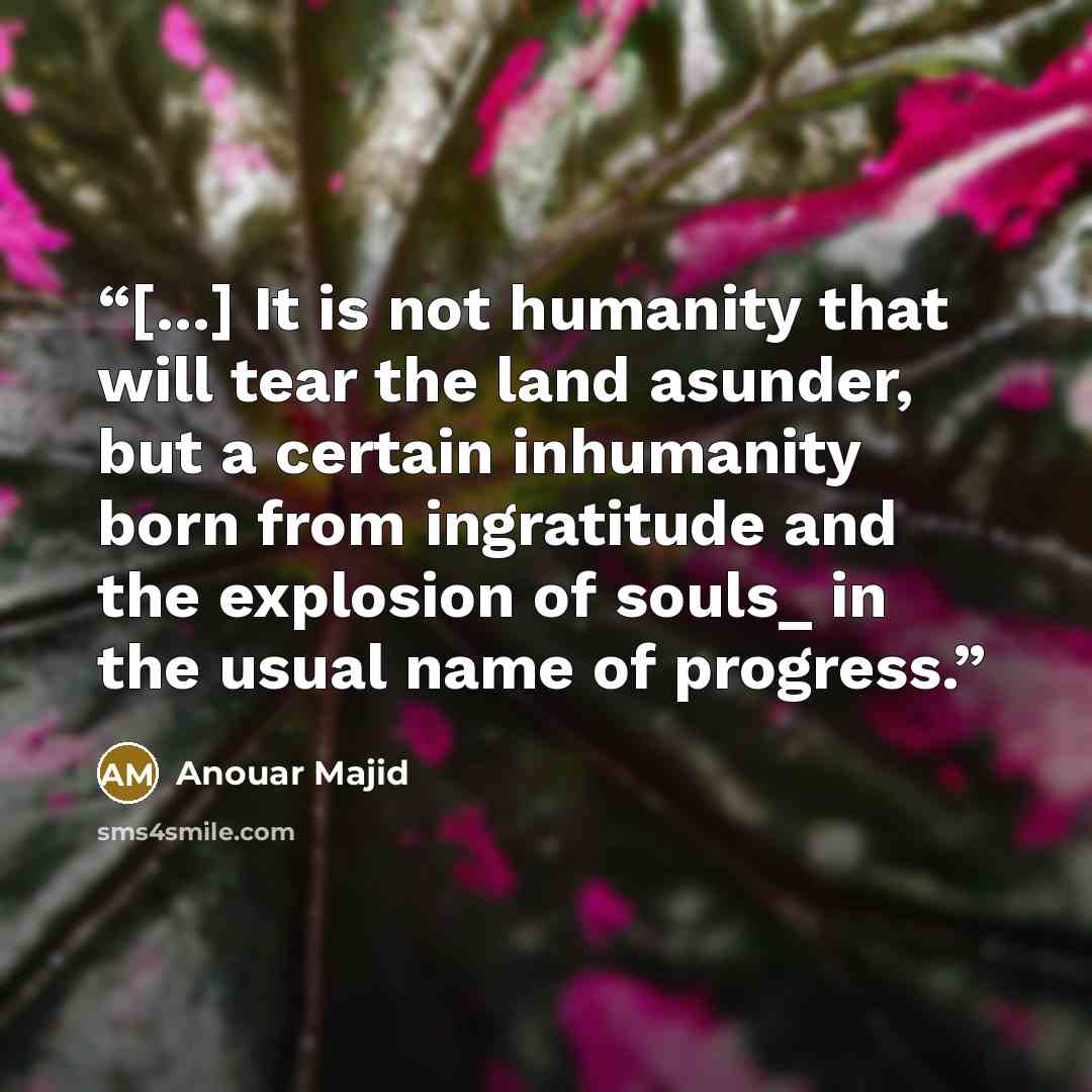 “[...] It is not humanity that will tear the land asunder, but a certain inhumanity born from ingratitude and the explosion of souls_ in the usual name of progress.” quote by Anouar Majid