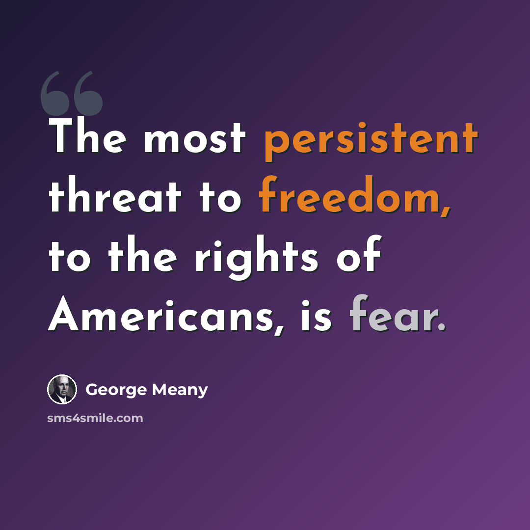 “The most persistent threat to freedom, to the rights of Americans, is fear.” quote by George Meany