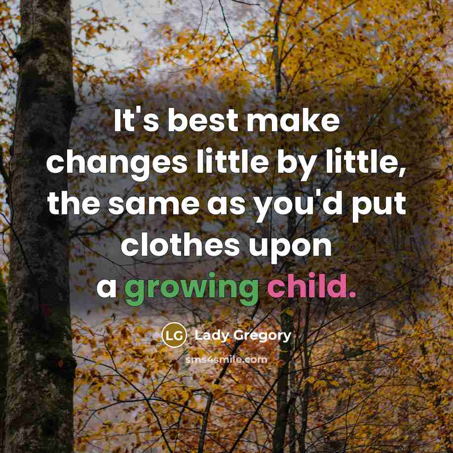 “It's best make changes little by little, the same as you'd put clothes upon a growing child.” quote by Lady Gregory