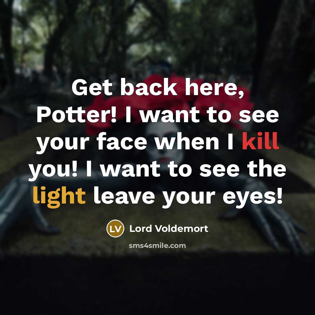 “Get back here, Potter! I want to see your face when I kill you! I want to see the light leave your eyes!” quote by Lord Voldemort